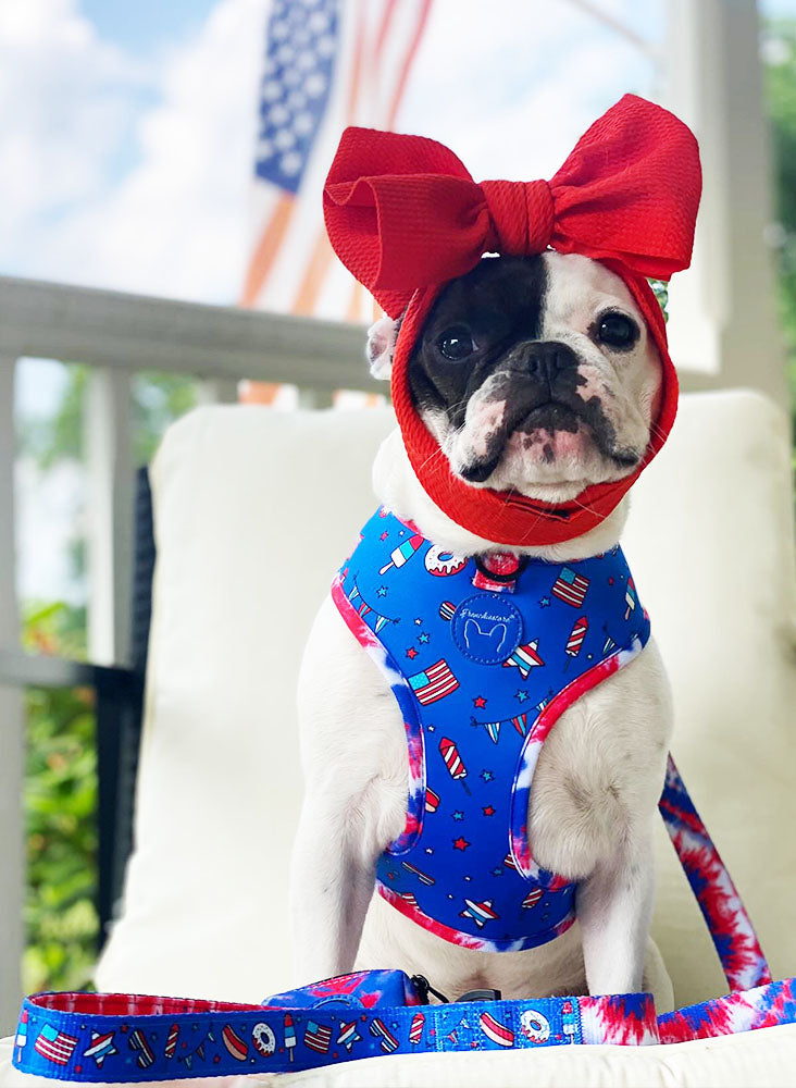 Frenchiestore Reversible Dog Health Harness | Red, White & Blue